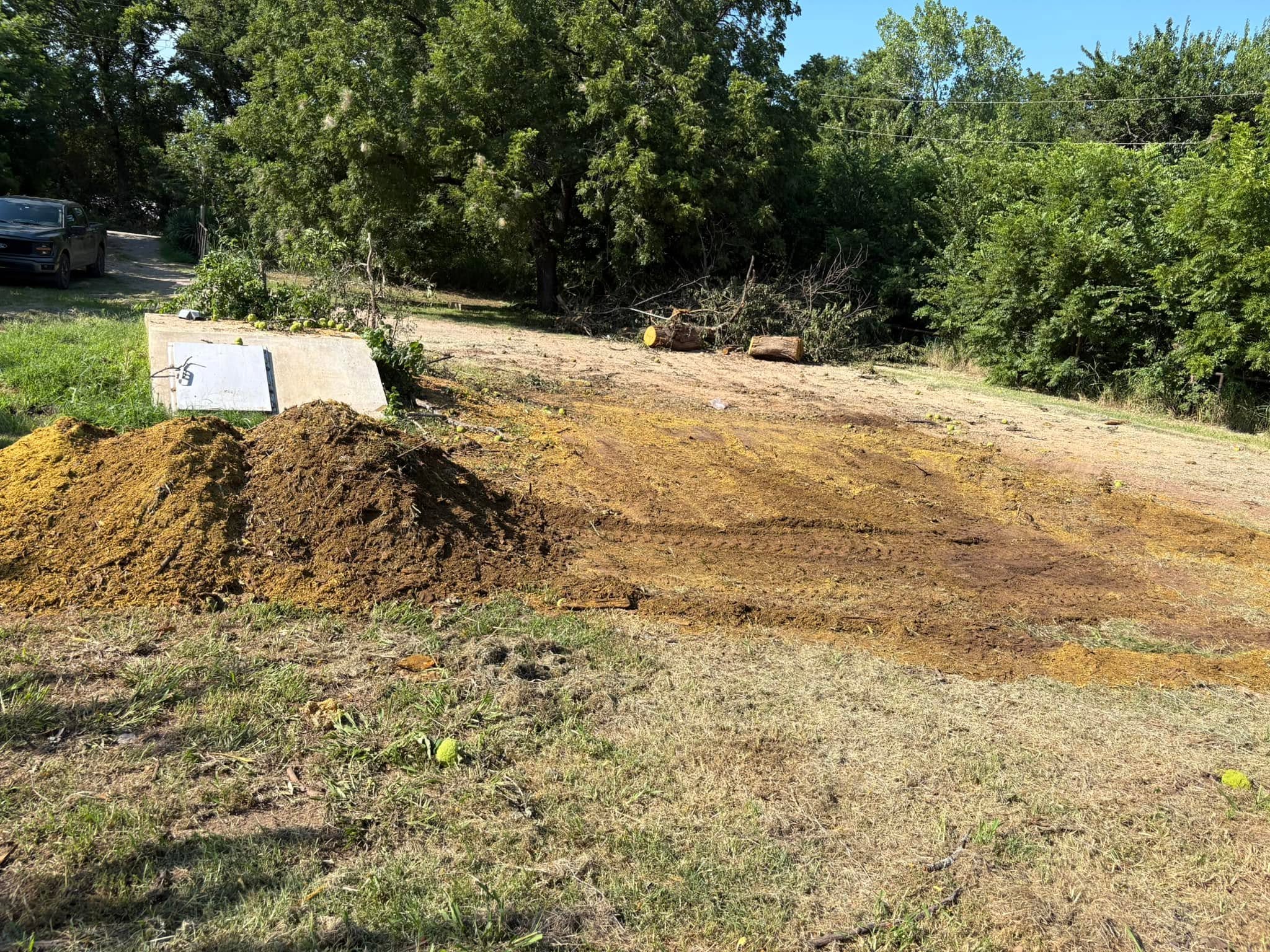 Overgrown lot cleared and hauled off