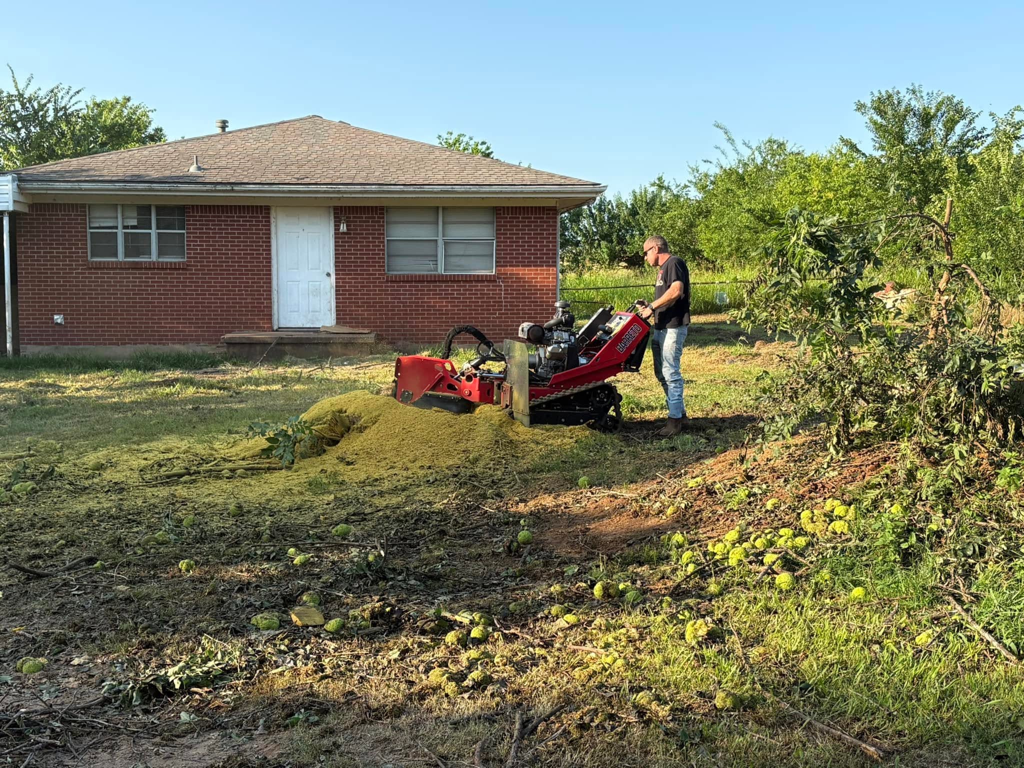 Stump grinding & heavy brush clearing